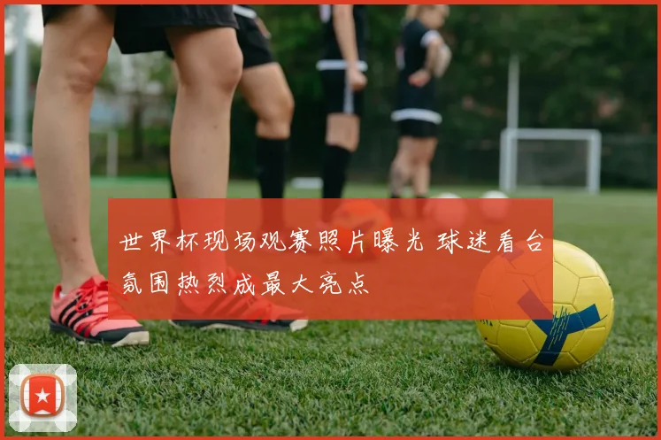 世界杯现场观赛照片曝光 球迷看台氛围热烈成最大亮点