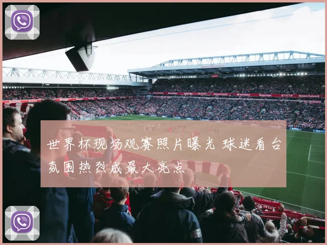 世界杯现场观赛照片曝光 球迷看台氛围热烈成最大亮点