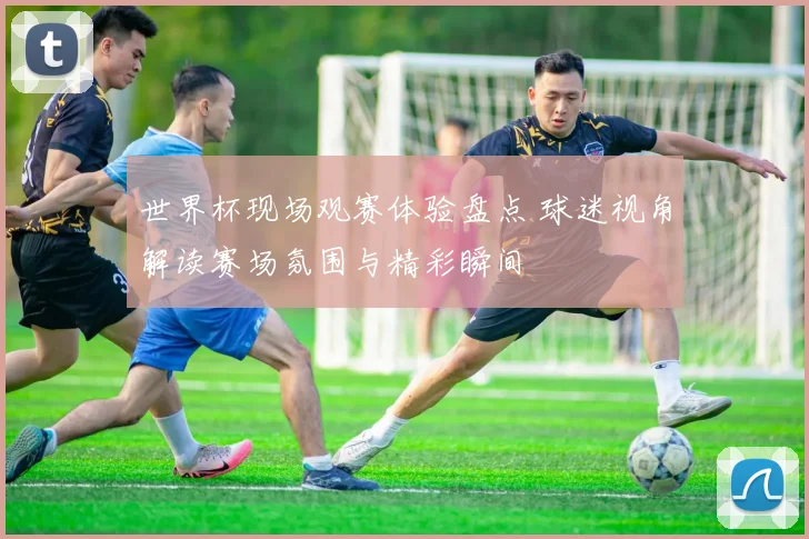 世界杯现场观赛体验盘点 球迷视角解读赛场氛围与精彩瞬间